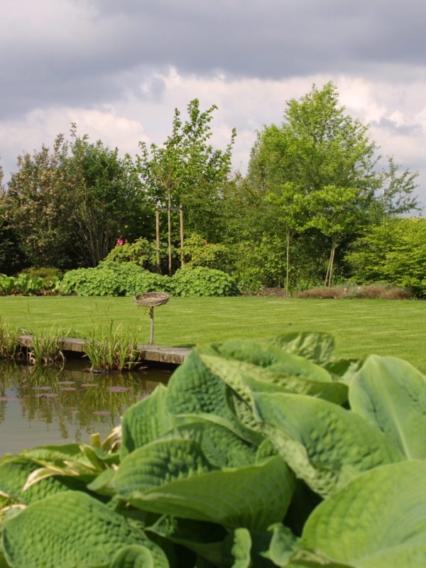 PATIO HOVENIERS HOVENIERSBEDRIJF BEPLANTING HOVENIER DONTEN BIDDINGHUIZEN HATTEM HATTEMERBROEK ZWOLLE