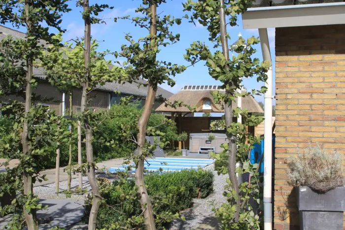 Patio Tuininrichting Dronten Beplanting Tuinhuisjes Zwembaden Veranda's